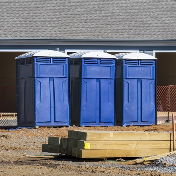 are there different sizes of portable toilets available for rent in Virginia MN